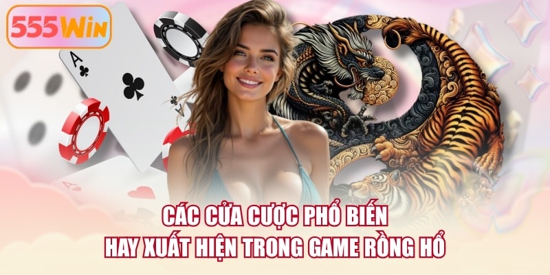 Các cửa cược phổ biến hay xuất hiện trong game Rồng Hổ